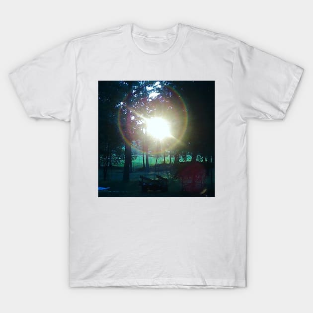 Mystery Night Light T-Shirt by Dorcas